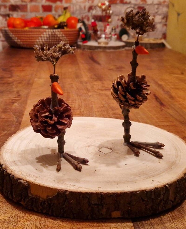 Struisvogels