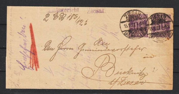 MiNr. D 29 (2x) auf Brief  ZIESAR  15.9.22   (ad20)