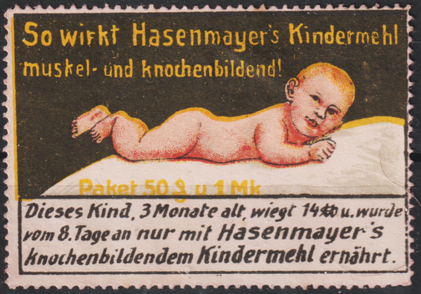 Vignette, Reklamemarke "Kindermehlfabrik Hugo Hasenmayer Pforzheim"  (s23120)
