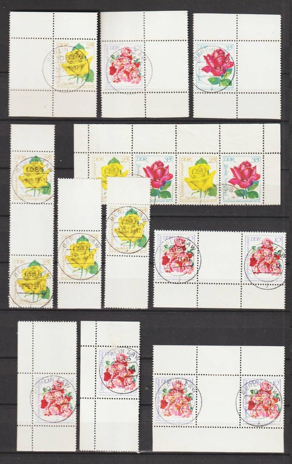 ZD Rosen gestempelt  (s23168)