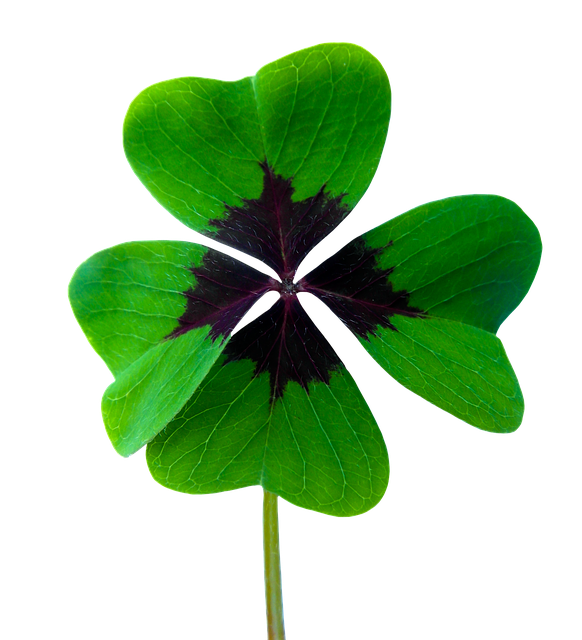 Klee Frieden und Diplomatie