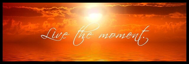 Live the moment Frieden und Diplomatie