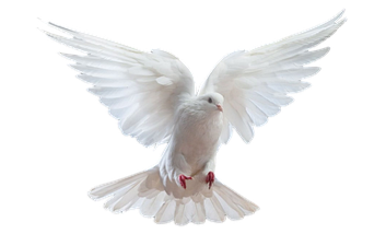  Frieden und Diplomatie