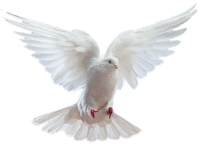  Frieden und Diplomatie