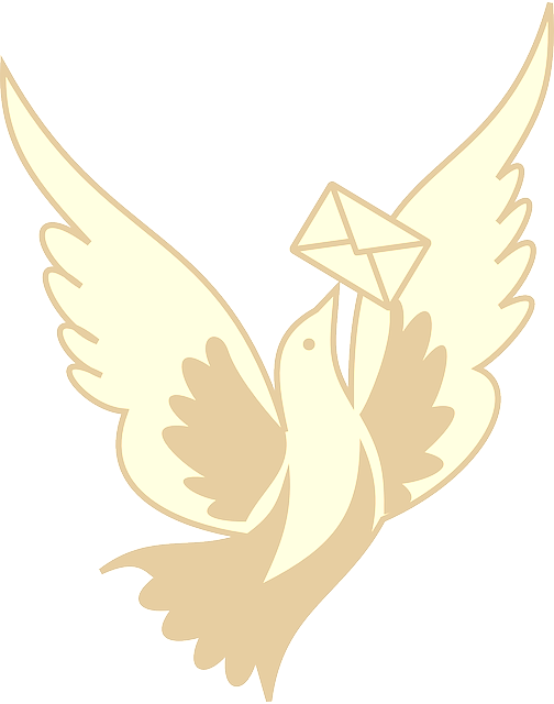 Friedenstaube ©FriedenundDiplomatie.de