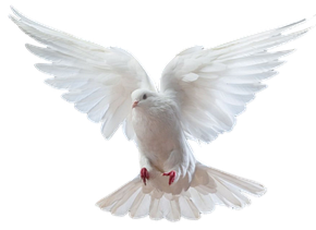  Frieden und Diplomatie