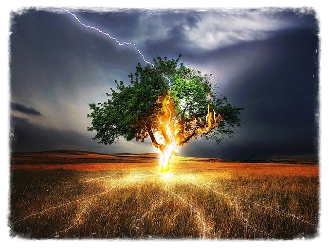 Blitzeinschlag in Baum ©FriedenundDiplomatie.de