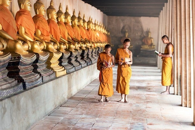 Lesen FriedenundDiplomatie.de