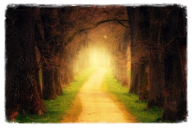 Weg FriedenundDiplomatie.de