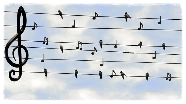 Noten auf Wäscheleine ©FriedenundDiplomatie.de