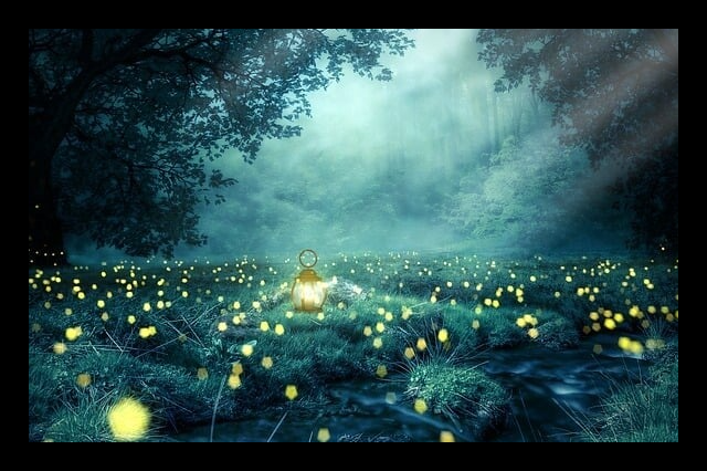 Glühwürmchen Frieden und Diplomatie