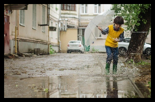 Pfütze Frieden und Diplomatie