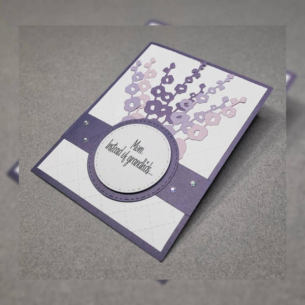 Mom, Instead of grandkids... (010)