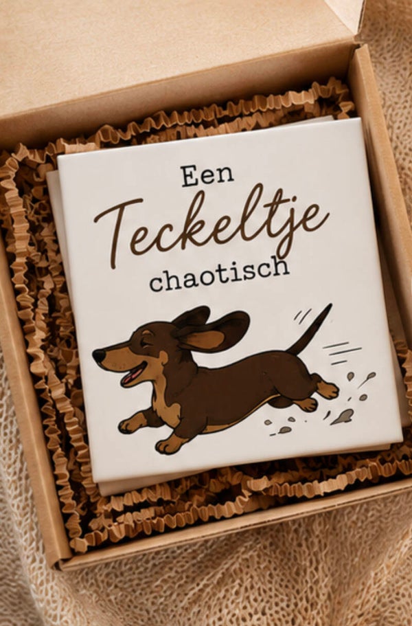 Tegeltje 'Teckeltje chaotisch'