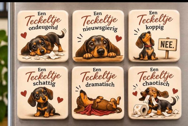 Koelkastmagneten