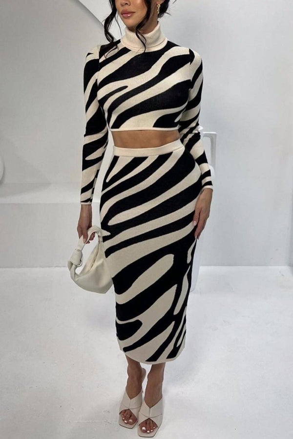 Ensemble jupe pull zébra