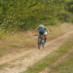 a6401790-standard.jpg