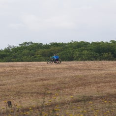 a6401905-standard.jpg
