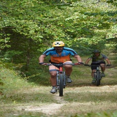 a6402010-standard.jpg
