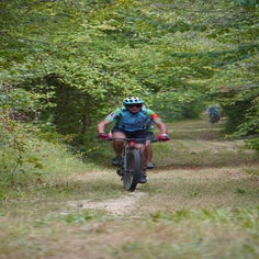 a6402019-standard.jpg