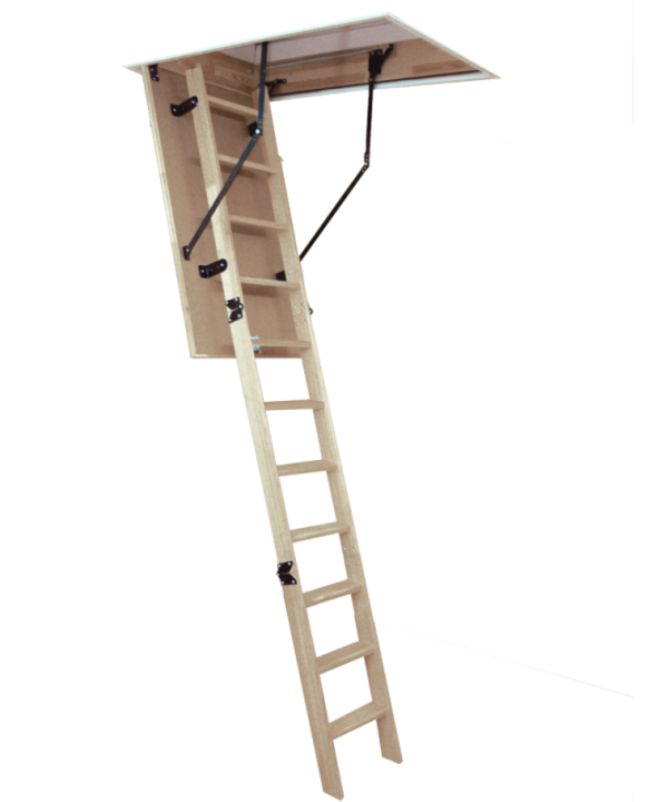 Altrex zoldertrap/vlizotrap Woodytrex Budget