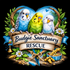 Budgie Sanctuary Rescue