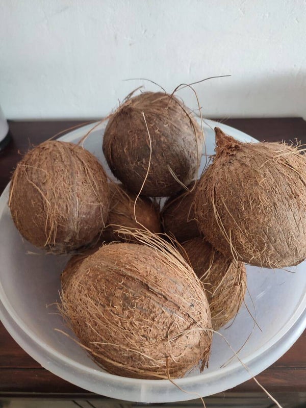 la noix de coco