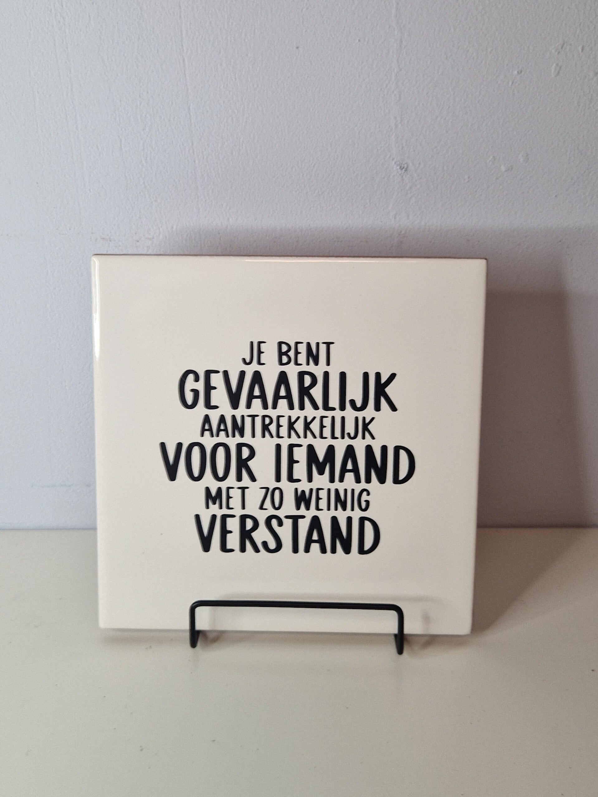 Je bent gevaarlijk aantrekkelijk voor iemand met zo weinig verstand Tegeltje