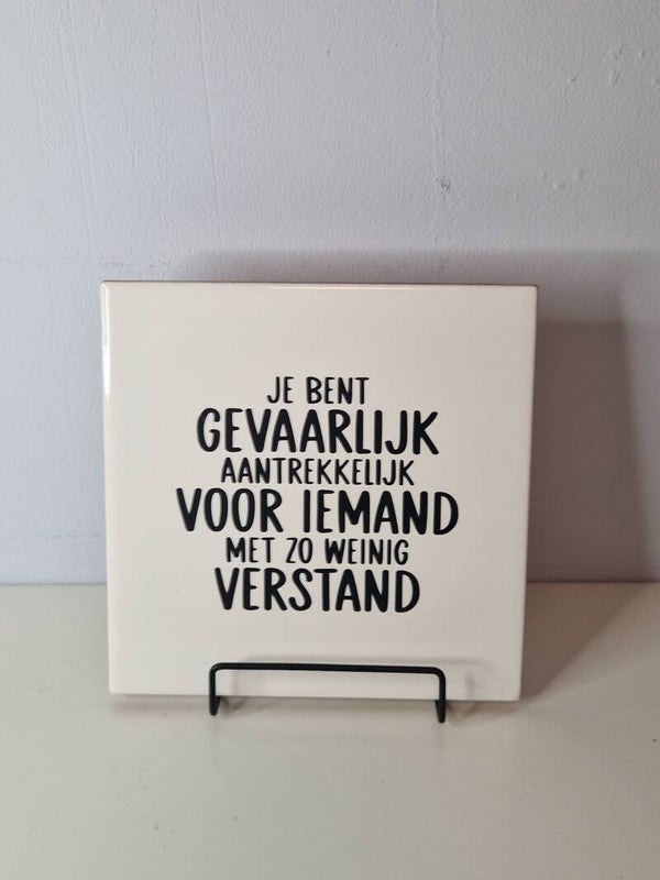 Je bent gevaarlijk aantrekkelijk voor iemand met zo weinig verstand Tegeltje