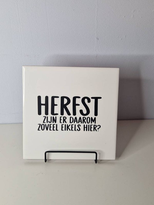 Herfst. Zijn er daarom zoveel eikels hier? Tegeltje