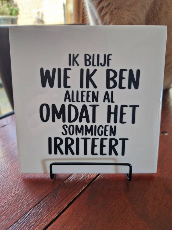 Ik blijf wie ik ben alleen al, omdat het sommige irriteert Tegeltje
