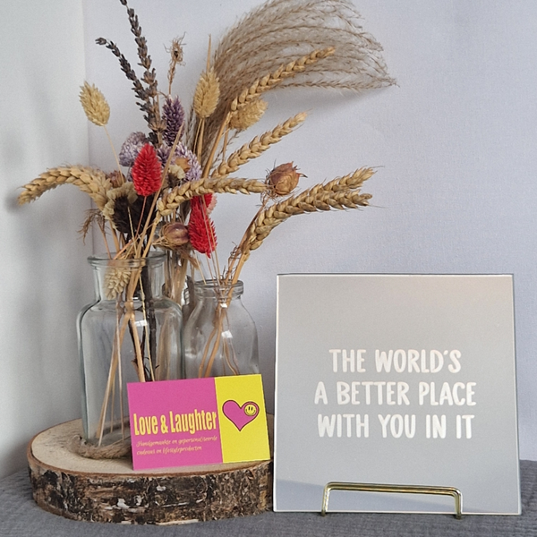 Spiegeltje: the world's a better place with you in it