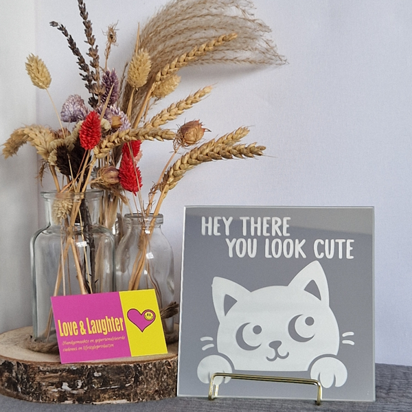 Spiegeltje: Hey there, you look cute