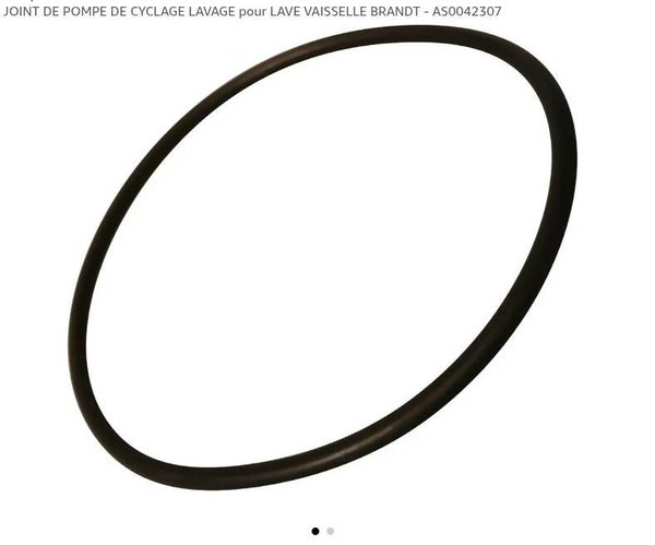 AS0042307 JOINT POMPE LV