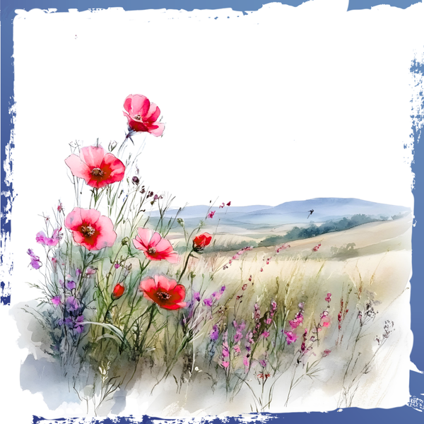 "Blumenwiese"