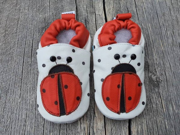 Shooshoos Marienkäfer