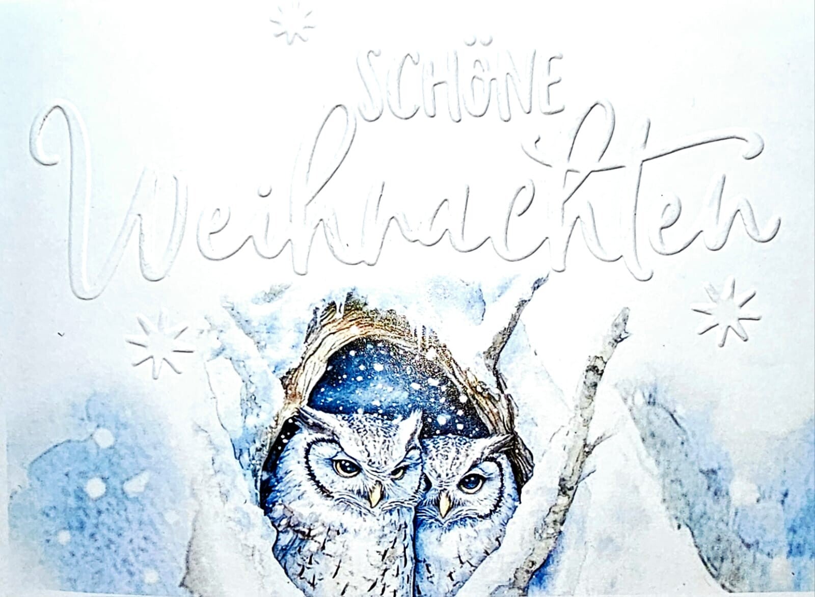 Eulen "schöne Weihnachten" (A6 quer)