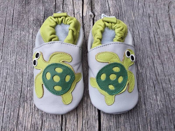 Shooshoos Schildkröte
