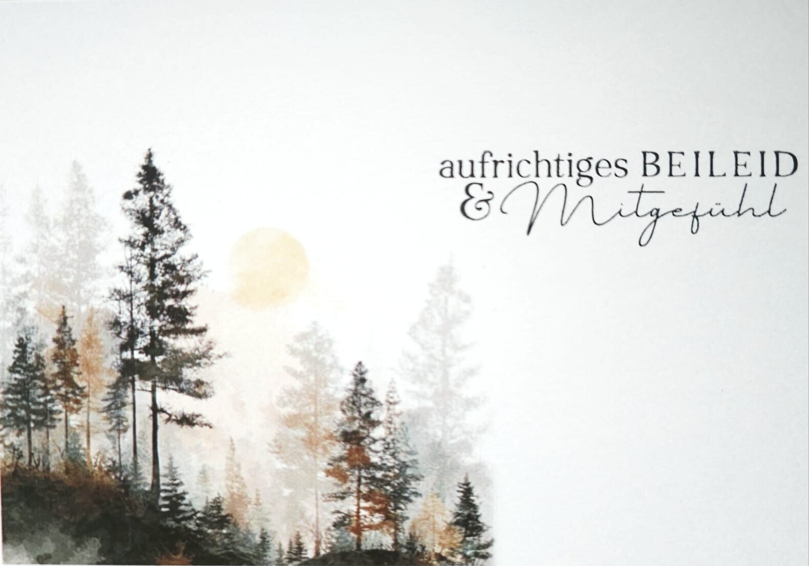 Wald "aufrichtiges Beileid & Mitgefühl" (A6 quer)