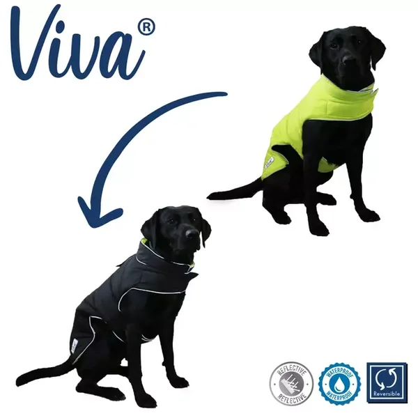 Viva Reversible Coat Dog Black/Green