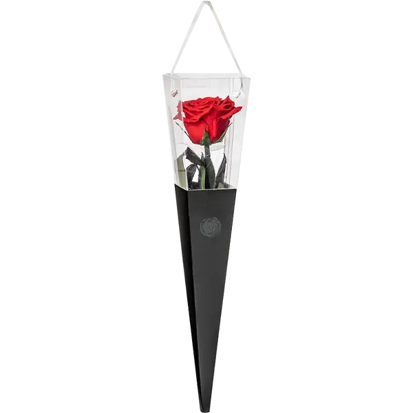 Roses Amor - Roses that last forever - geconserveerde rozen