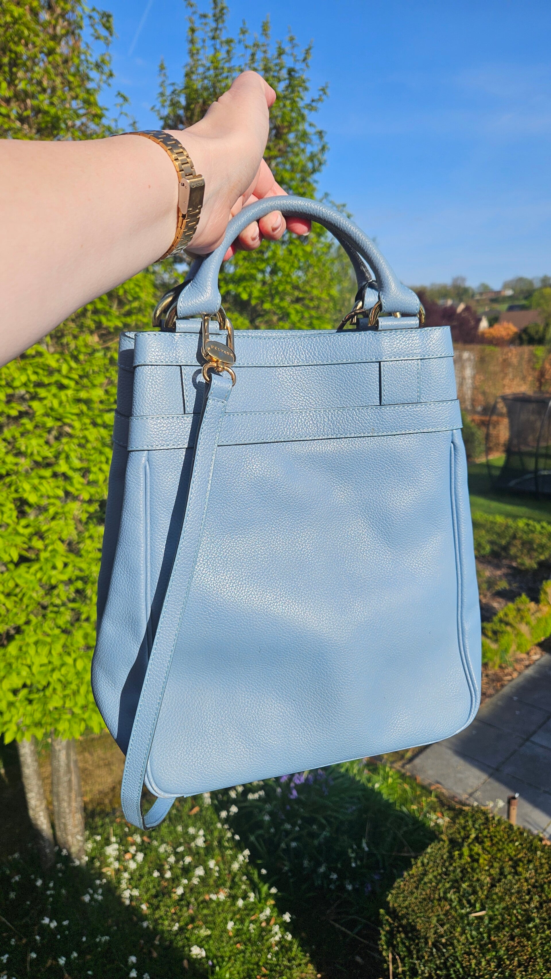 Delvaux Roseau