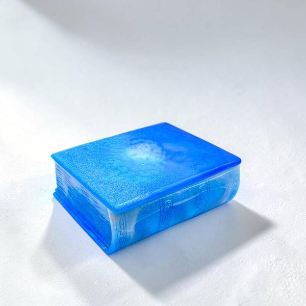 Boîte Livre Murmures d'Hiver