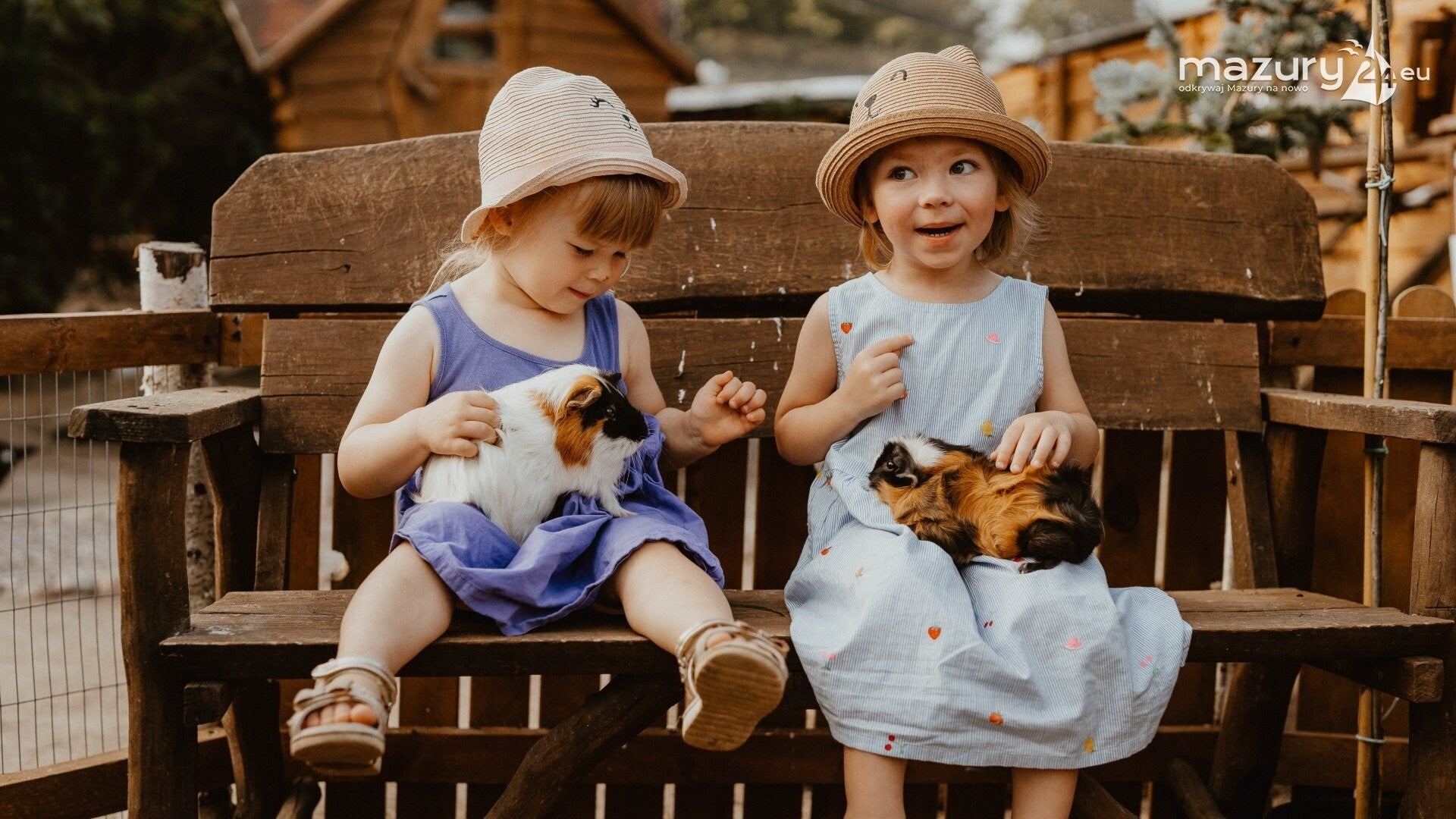 mazurskie mini zoo