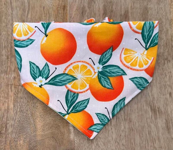 Orange You Glad You Have A Dog