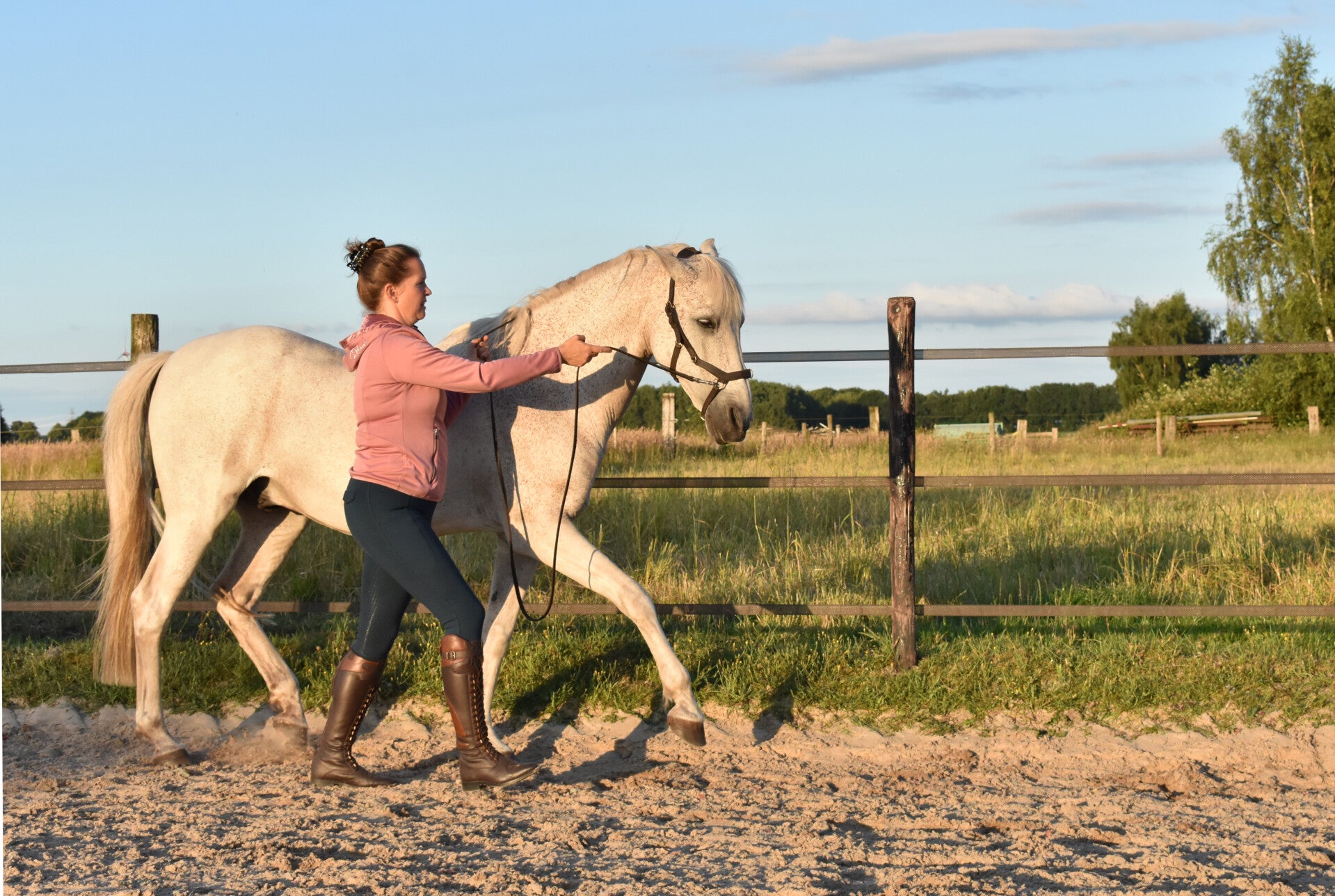 Verzamelde draf aan de hand