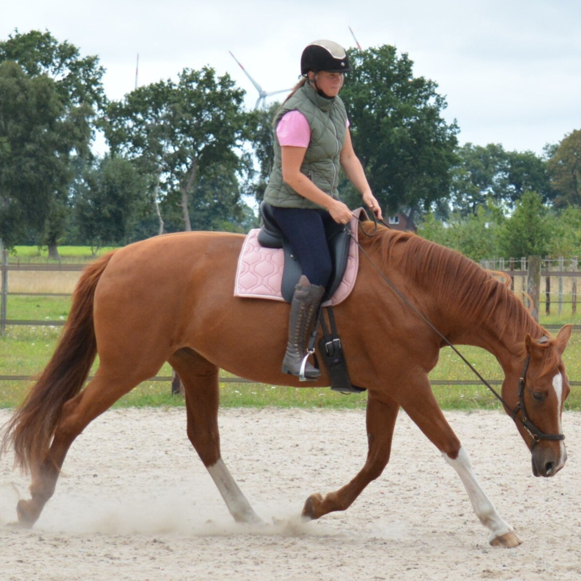EquiFlow Academy / Hulp nodig? | Atletische Rijkunst
