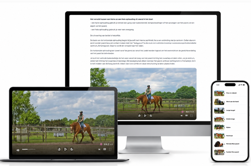 EquiFlow Academy / Hulp nodig? | Atletische Rijkunst