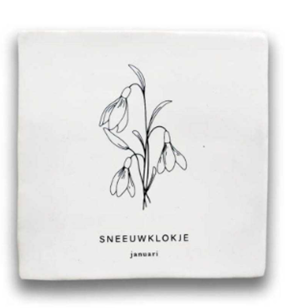Tegel- Geboortebloem Sneeuwklokje