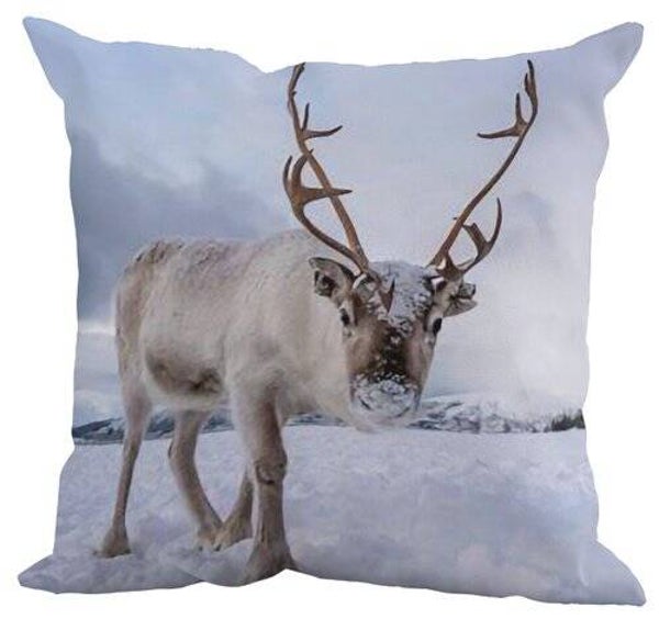 Kussen rendier